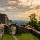 Ruine Löwenburg