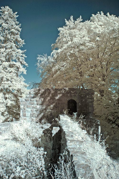 Ruine Lützelhardt in IR