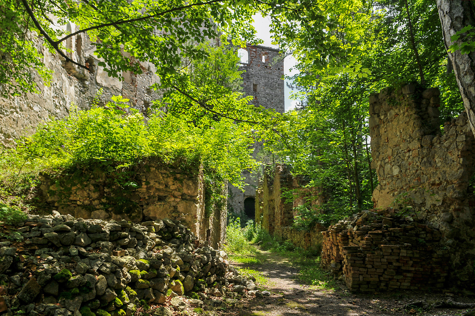 ruine merkenstein