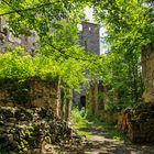 ruine merkenstein