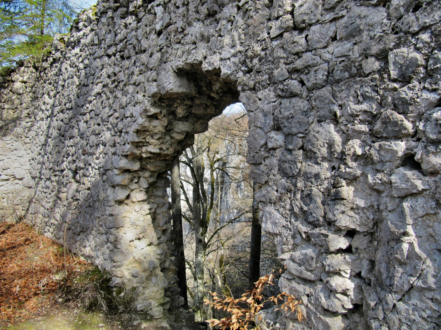 Ruine Monsberg, auch Burg des Munt genannt, Foto & Bild architektur