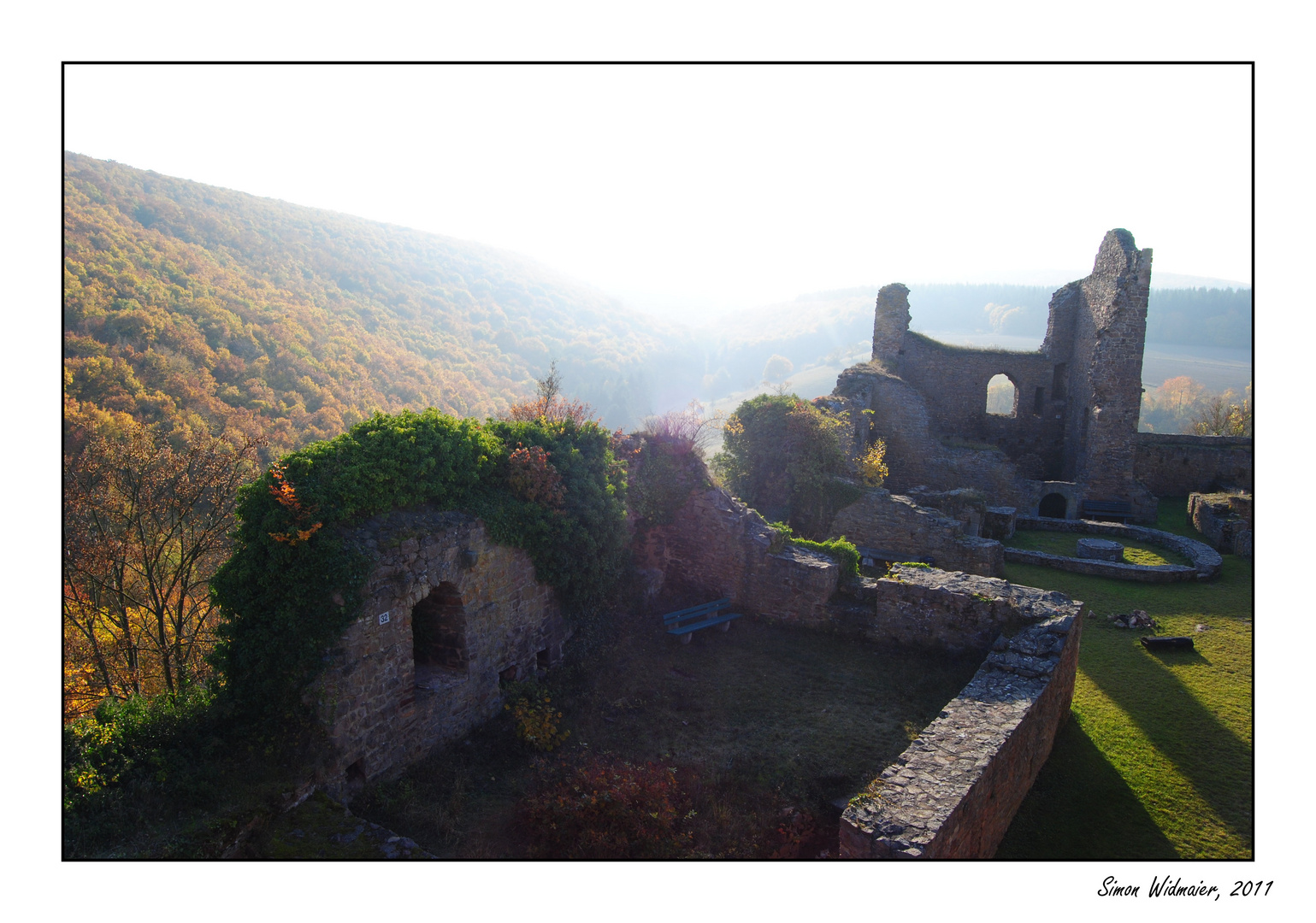 Ruine Montfort