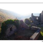 Ruine Montfort