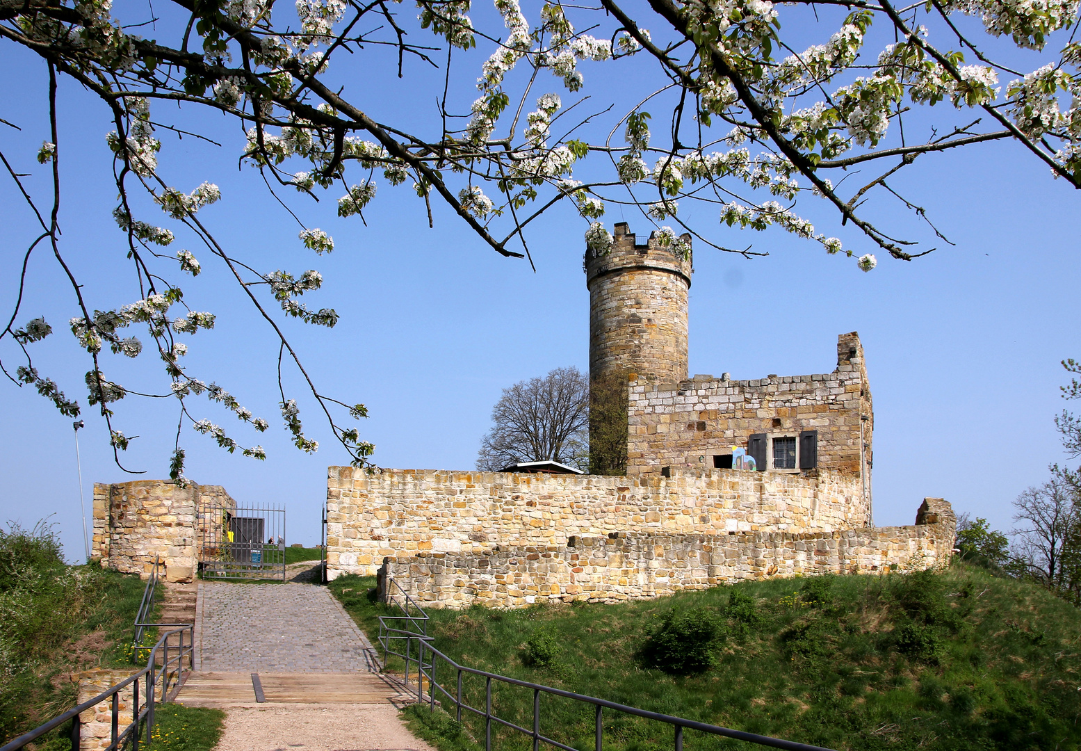 Ruine Mühlburg in Mühlberg