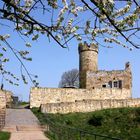 Ruine Mühlburg in Mühlberg