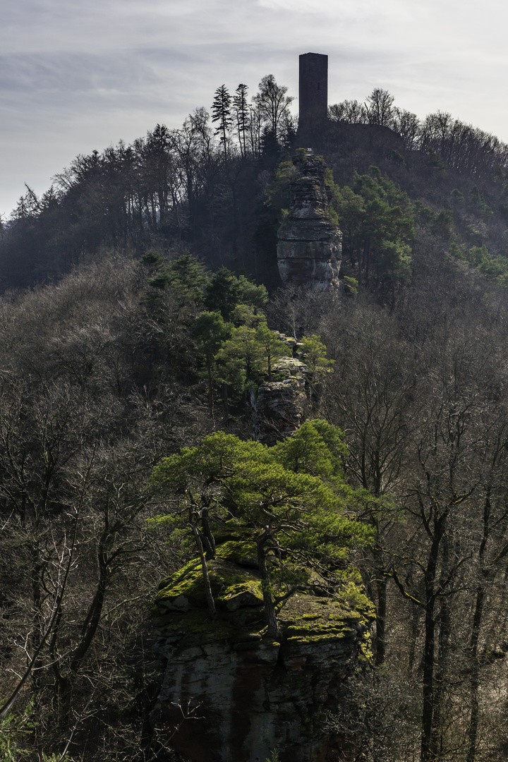 Ruine Münz