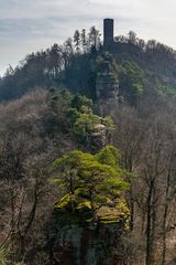 Ruine Münz