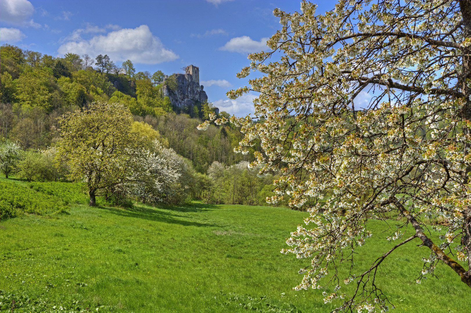 Ruine Neideck