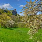 Ruine Neideck