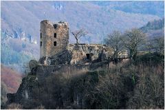 ruine neideck