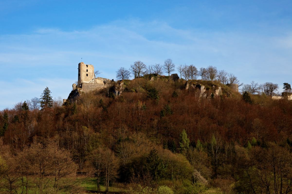 Ruine Neideck