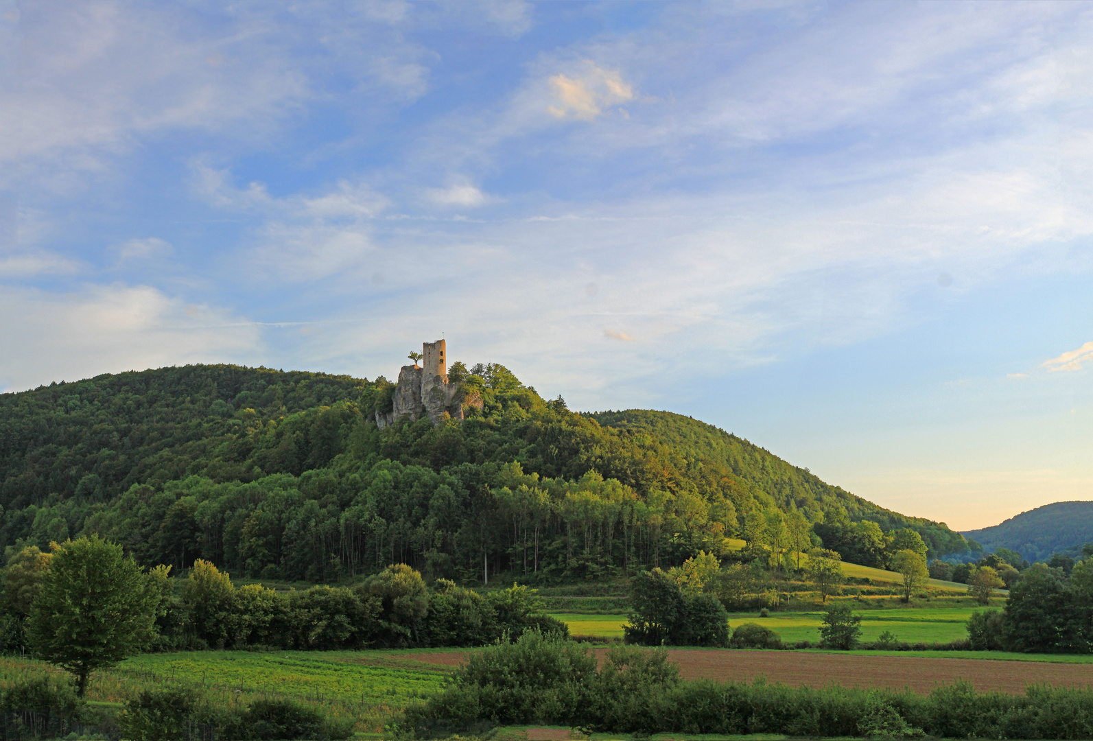 Ruine Neideck