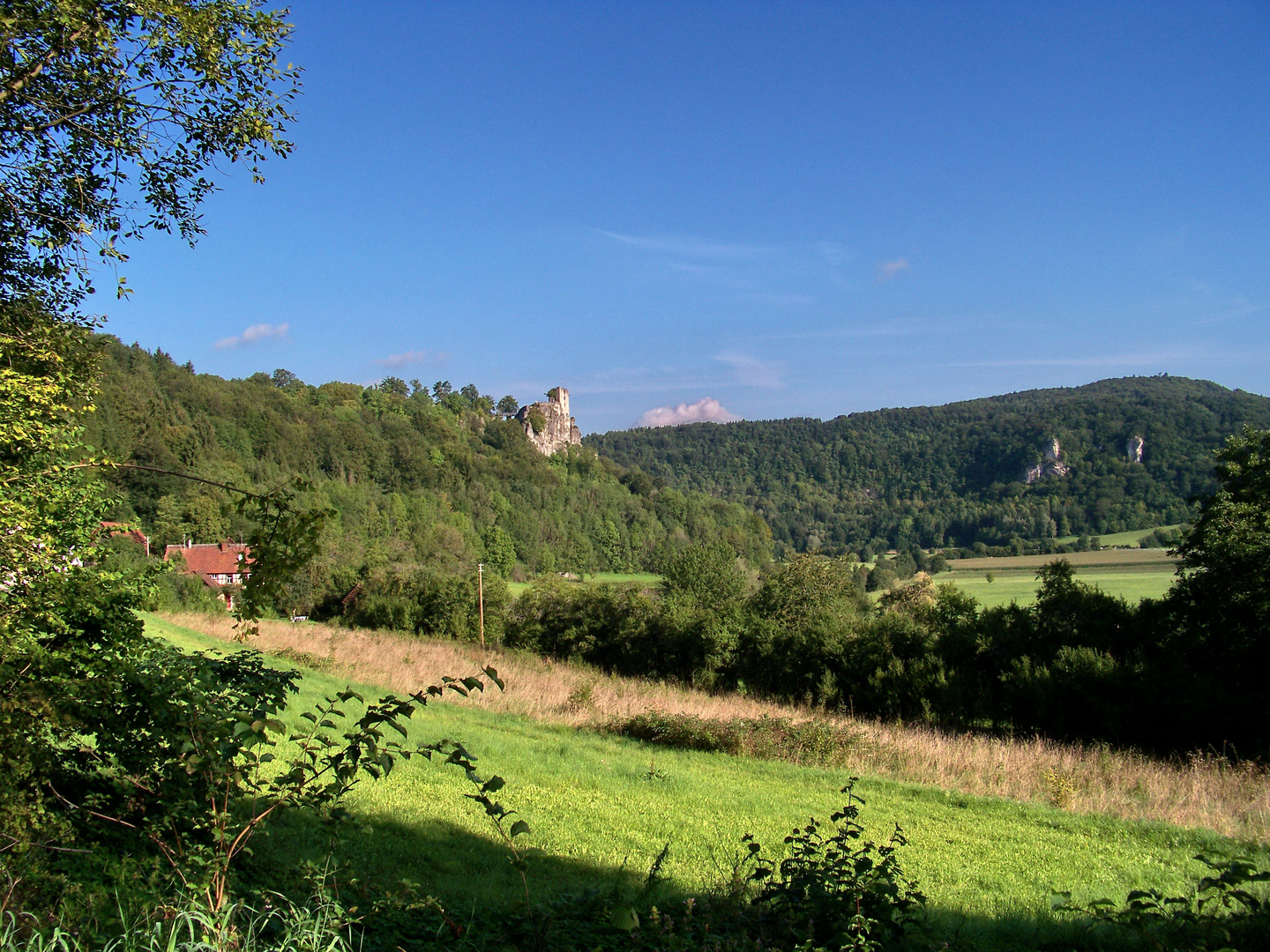 Ruine Neideck I