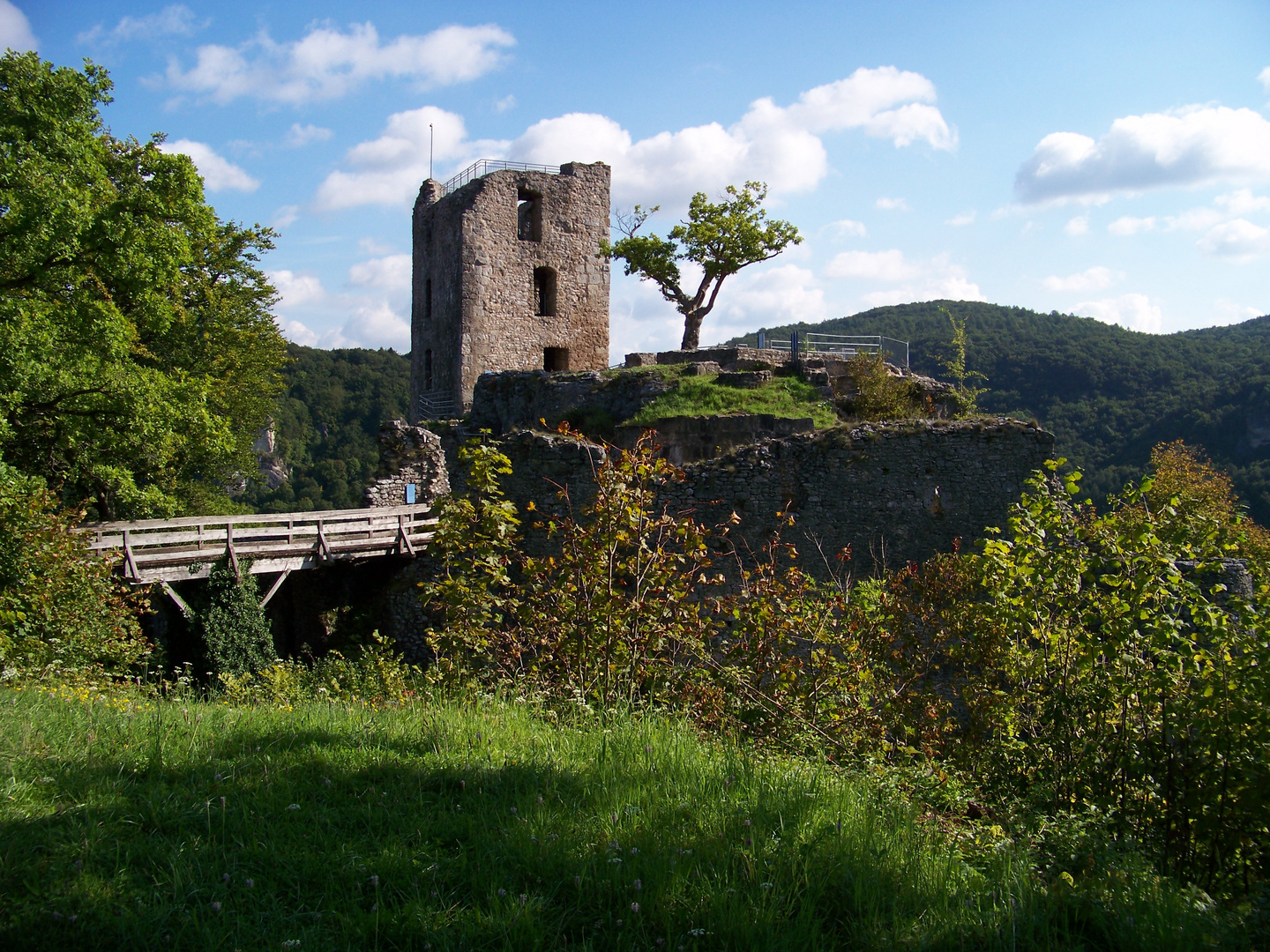 Ruine Neideck II