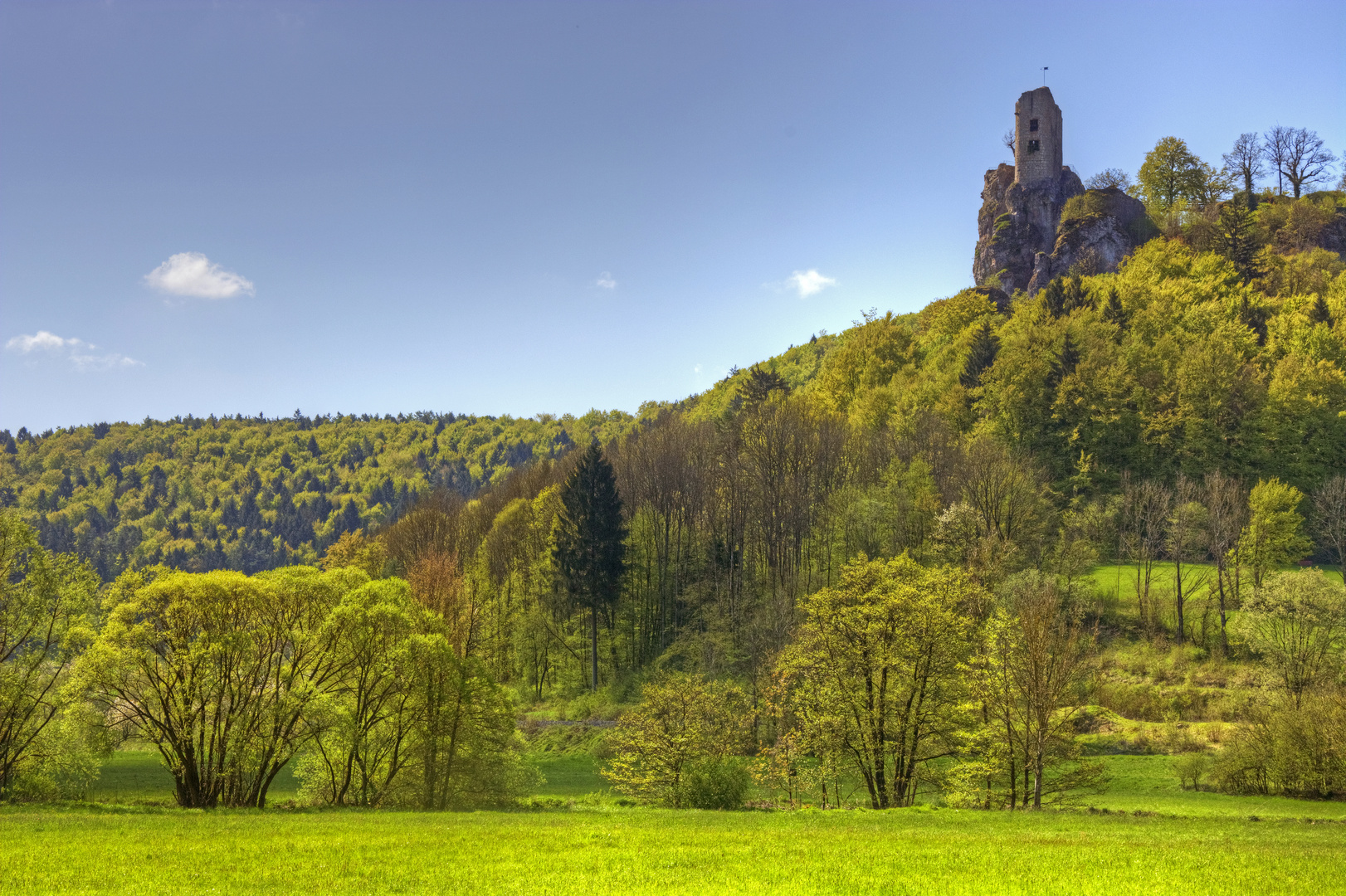 Ruine Neideck II