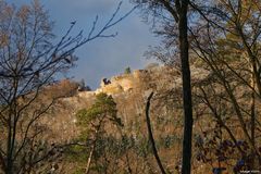 Ruine Neu-Scharfeneck