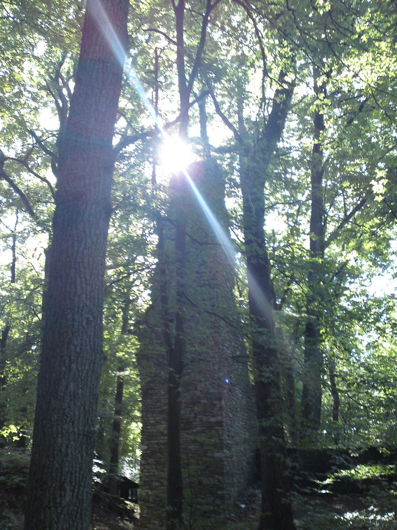 Ruine Neuenberg, Rest des Torhauses