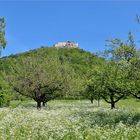 Ruine Neuffen