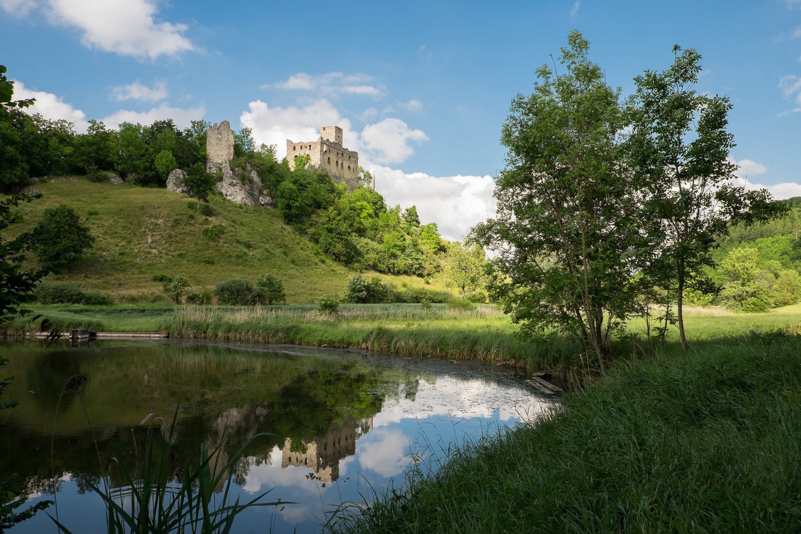 Ruine Niederhaus