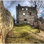 Ruine Niederhaus Nr.2