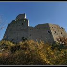 Ruine Ortenberg / Elsaß II