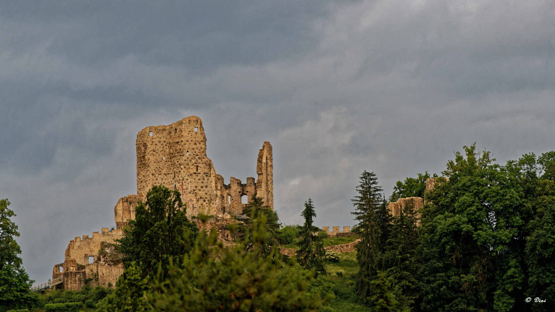 Ruine Pfäffige