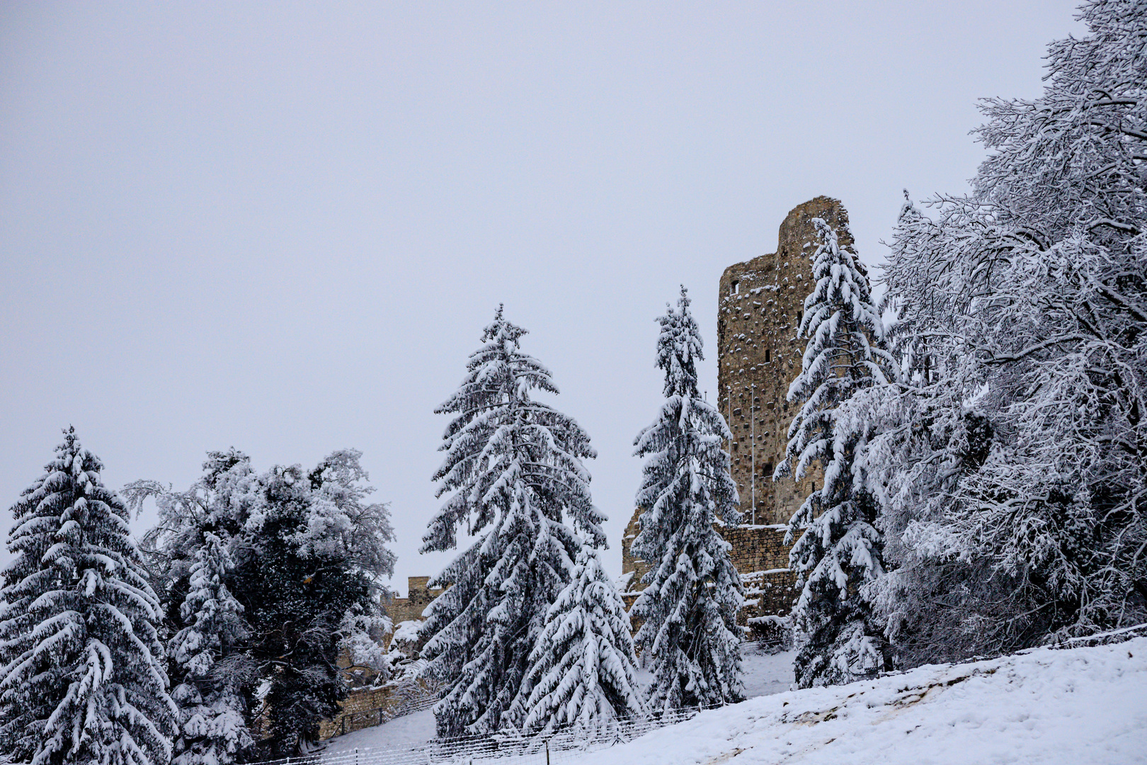 Ruine Pfeffingen