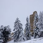 Ruine Pfeffingen