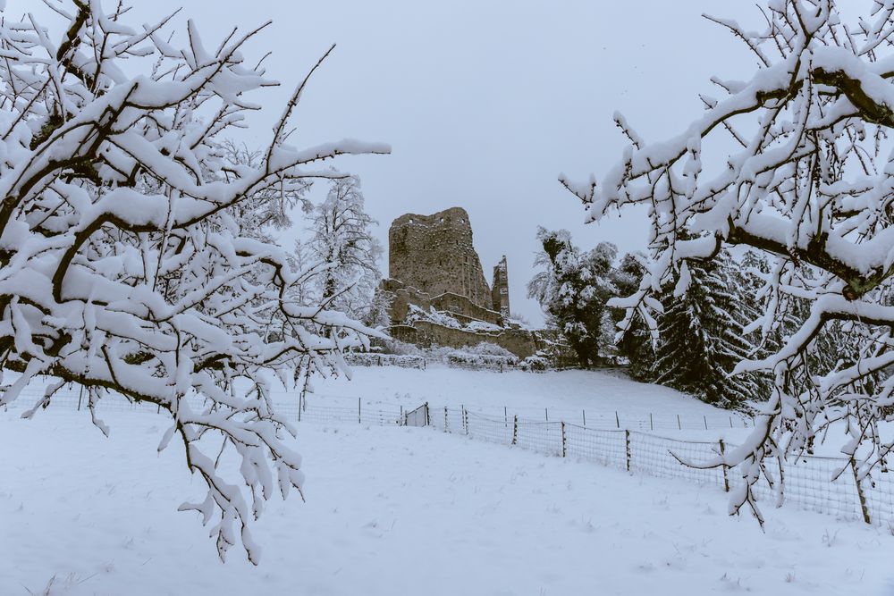 Ruine Pfeffingen