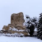 Ruine Pfeffingen