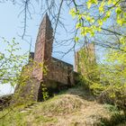 Ruine Ramburg 48