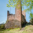 Ruine Ramburg 84