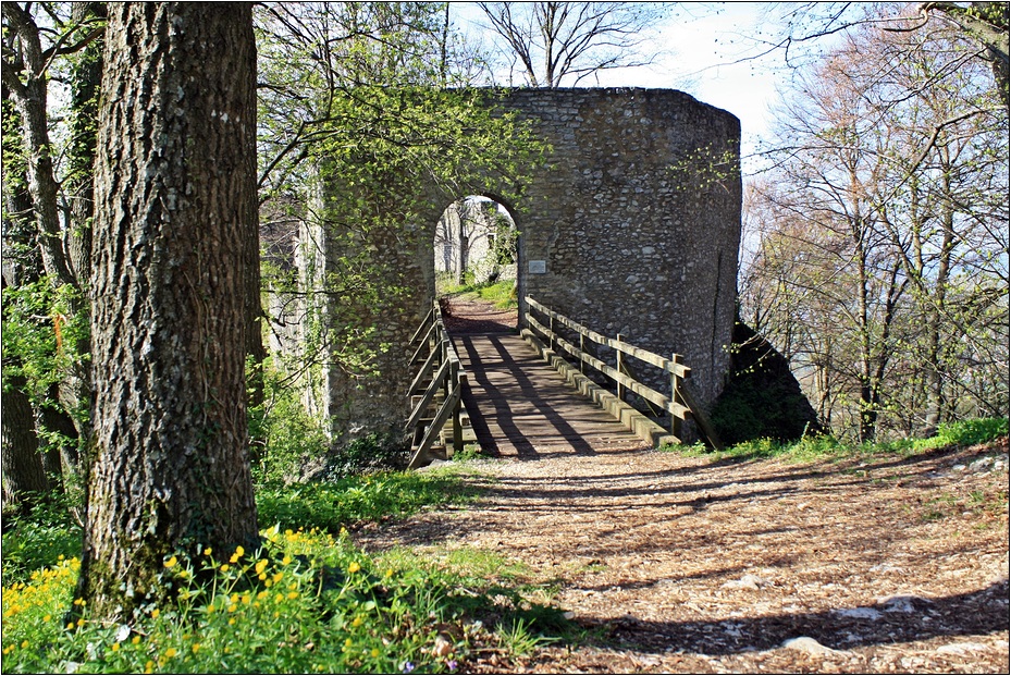 Ruine Rauber