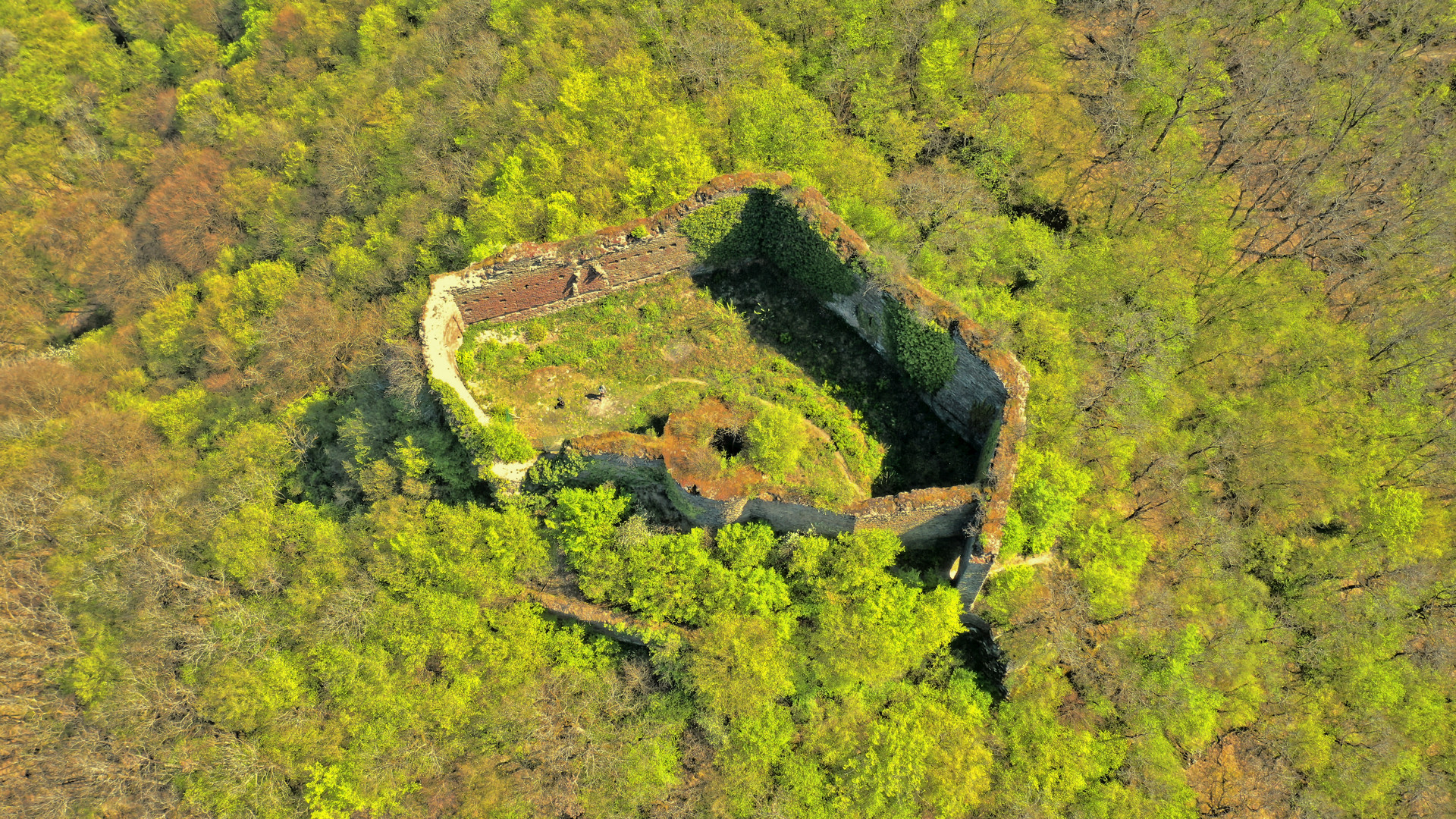 Ruine Rauschenberg