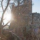 Ruine Reußenstein-11-20