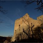 Ruine Reußenstein II