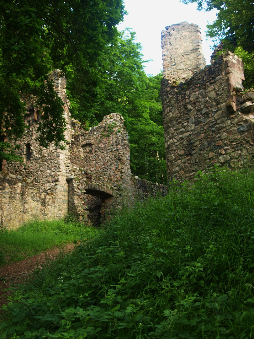 Ruine Rodenstein