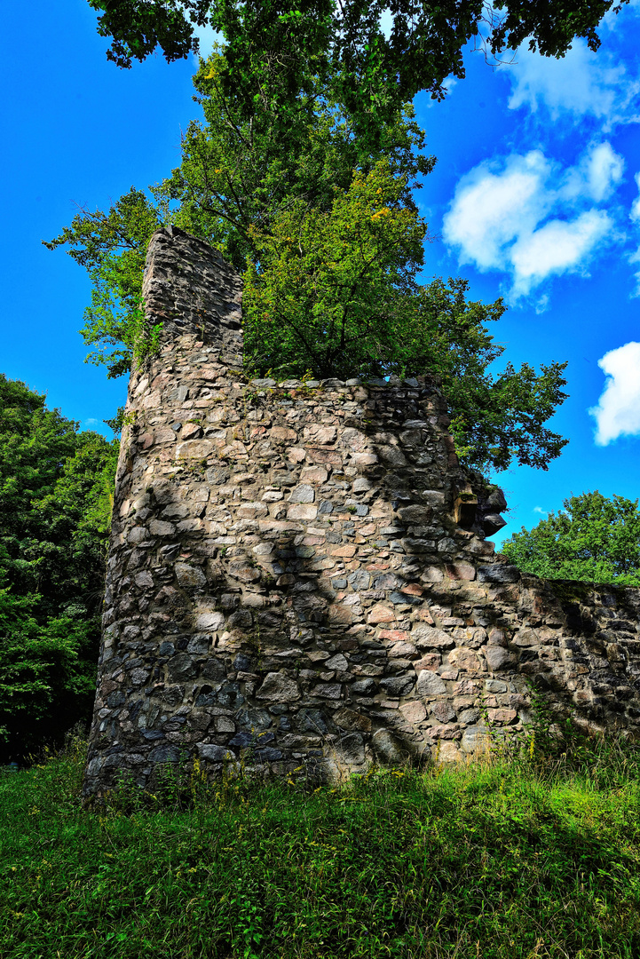 Ruine Rodenstein 2