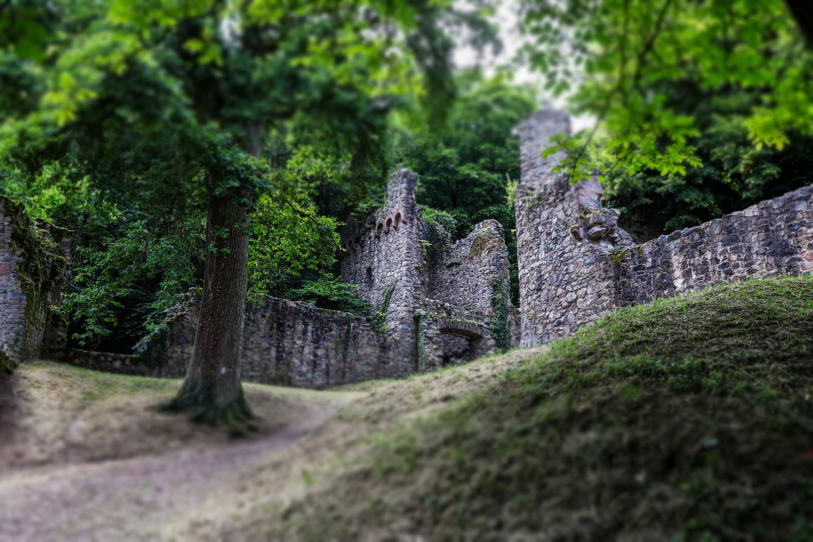 Ruine Rodenstein 