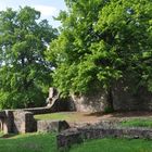 Ruine Rodenstein