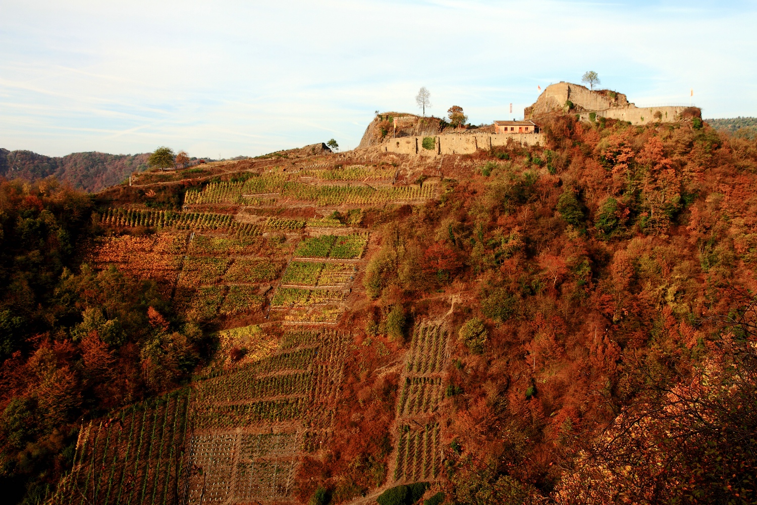 Ruine Saffenburg