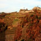 Ruine Saffenburg