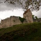 Ruine Salzburg