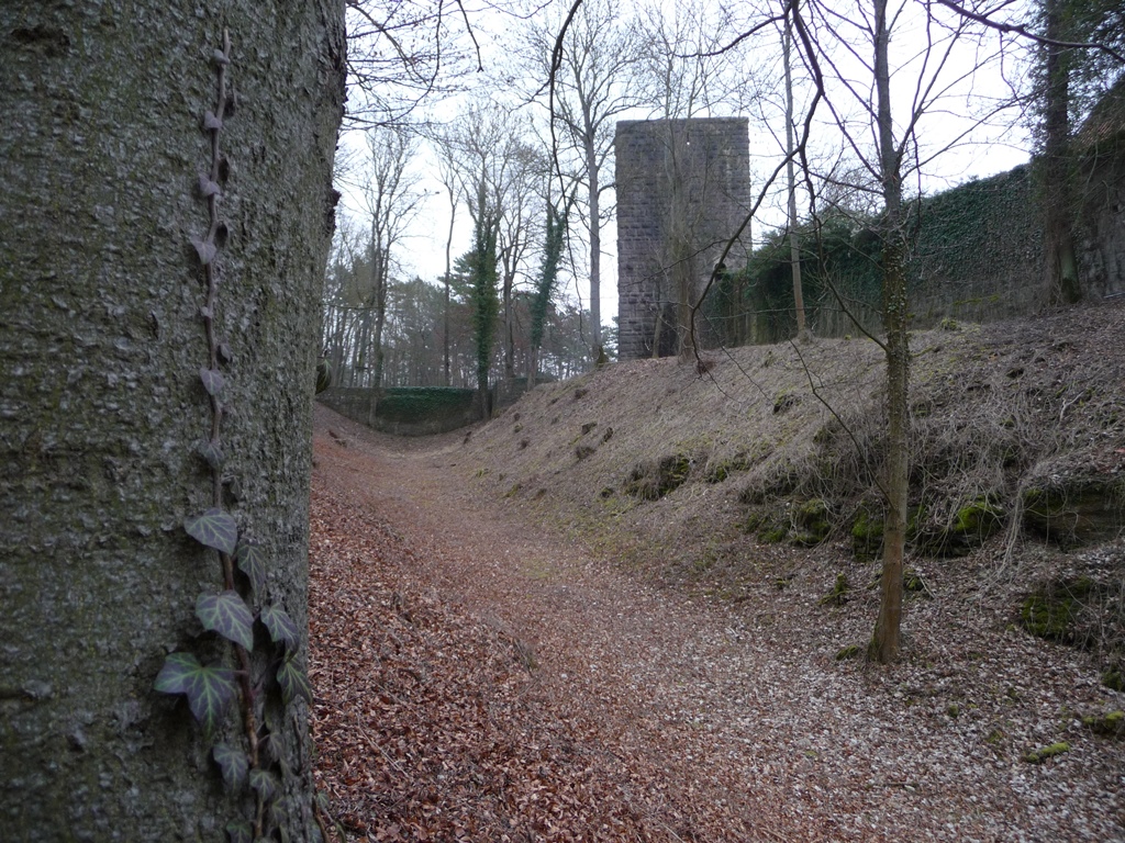 Ruine Salzburg in Bad Neustadt