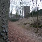 Ruine Salzburg in Bad Neustadt