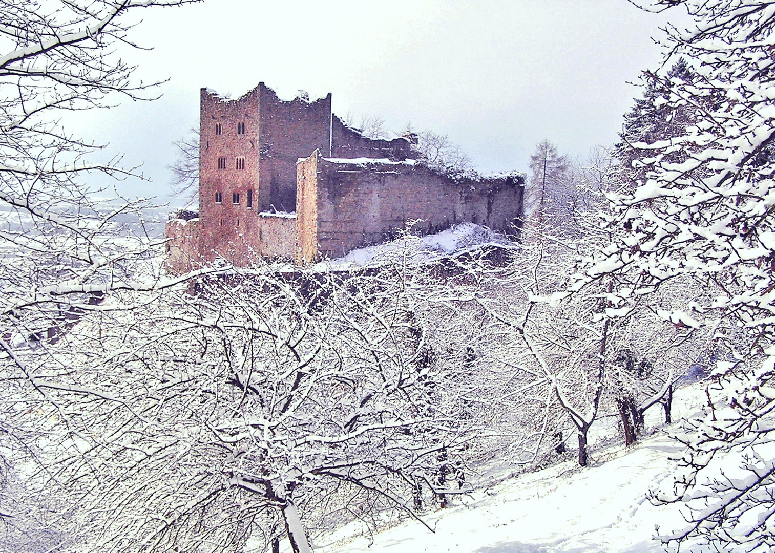 Ruine Schauenburg im Winter