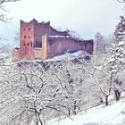 Ruine Schauenburg im Winter