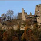 Ruine Schenkenberg