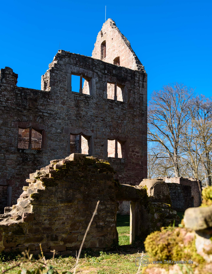 Ruine Schönrain D75_4388