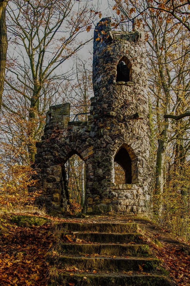 Ruine Schomberg